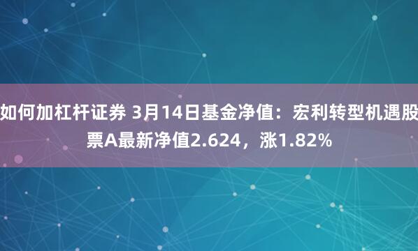 如何加杠杆证券 3月14日基金净值：宏利转型机遇股票A最新净值2.624，涨1.82%