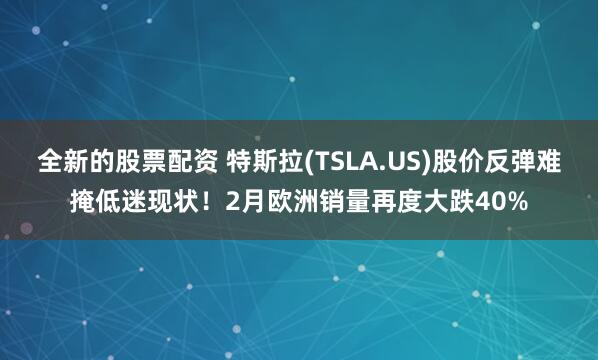 全新的股票配资 特斯拉(TSLA.US)股价反弹难掩低迷现状！2月欧洲销量再度大跌40%