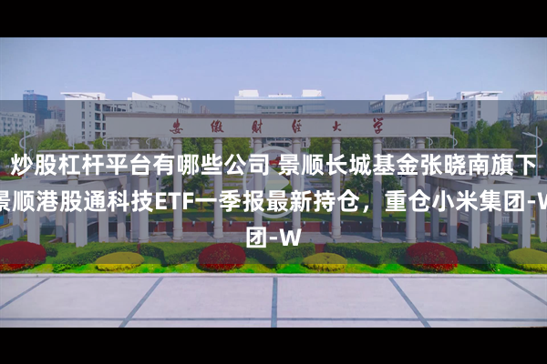炒股杠杆平台有哪些公司 景顺长城基金张晓南旗下景顺港股通科技ETF一季报最新持仓，重仓小米集团-W