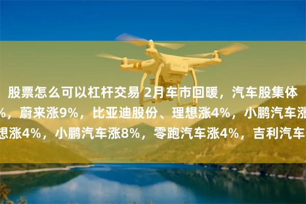 股票怎么可以杠杆交易 2月车市回暖，汽车股集体上涨，长城汽车涨12%，蔚来涨9%，比亚迪股份、理想涨4%，小鹏汽车涨8%，零跑汽车涨4%，吉利汽车涨3%