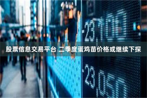 股票信息交易平台 二季度蛋鸡苗价格或继续下探