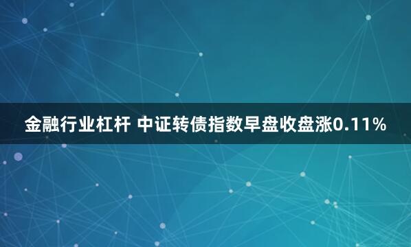金融行业杠杆 中证转债指数早盘收盘涨0.11%