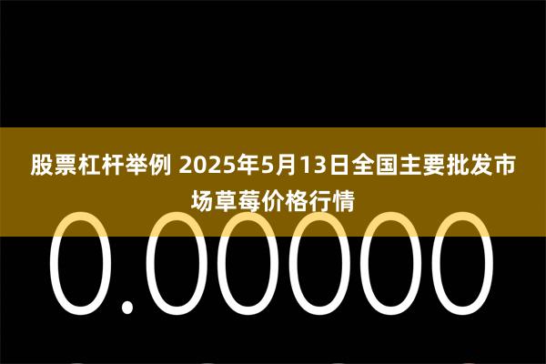 股票杠杆举例 2025年5月13日全国主要批发市场草莓价格行情