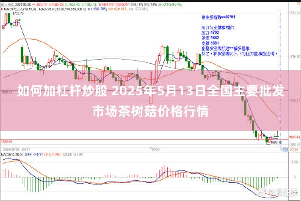 如何加杠杆炒股 2025年5月13日全国主要批发市场茶树菇价格行情