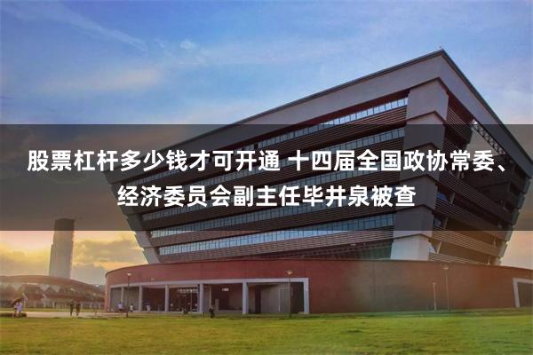 股票杠杆多少钱才可开通 十四届全国政协常委、经济委员会副主任毕井泉被查