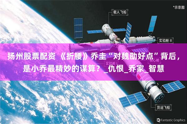 扬州股票配资 《折腰》乔圭“对魏劭好点”背后，是小乔最精妙的谋算？_仇恨_乔家_智慧