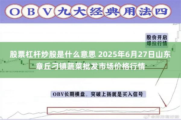 股票杠杆炒股是什么意思 2025年6月27日山东章丘刁镇蔬菜批发市场价格行情