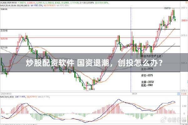 炒股配资软件 国资退潮，创投怎么办？