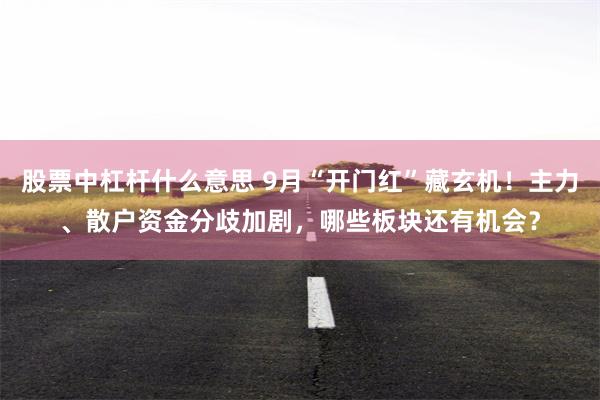 股票中杠杆什么意思 9月“开门红”藏玄机！主力、散户资金分歧加剧，哪些板块还有机会？