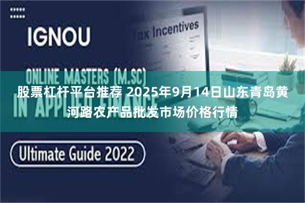股票杠杆平台推荐 2025年9月14日山东青岛黄河路农产品批发市场价格行情