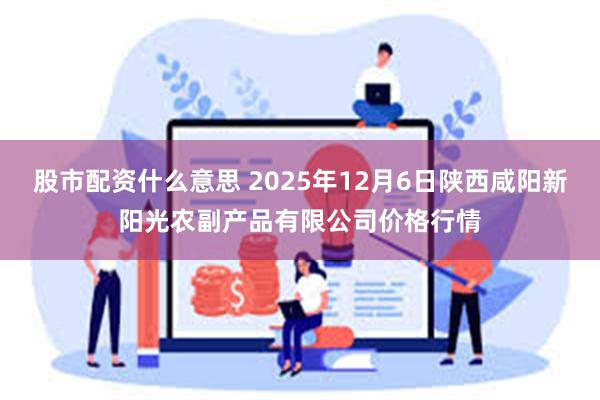 股市配资什么意思 2025年12月6日陕西咸阳新阳光农副产品有限公司价格行情